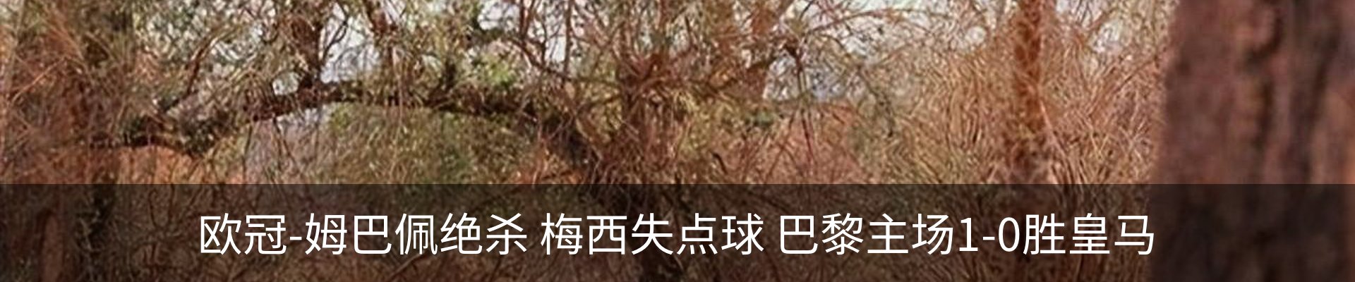 新闻中心
